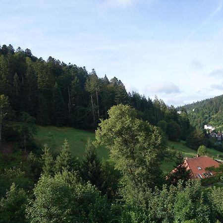 Appartamento Zum Schwalbennest Todtmoos Esterno foto