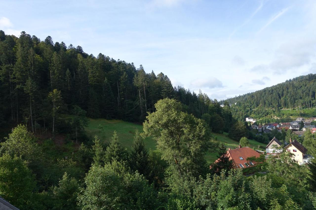 Appartamento Zum Schwalbennest Todtmoos Esterno foto