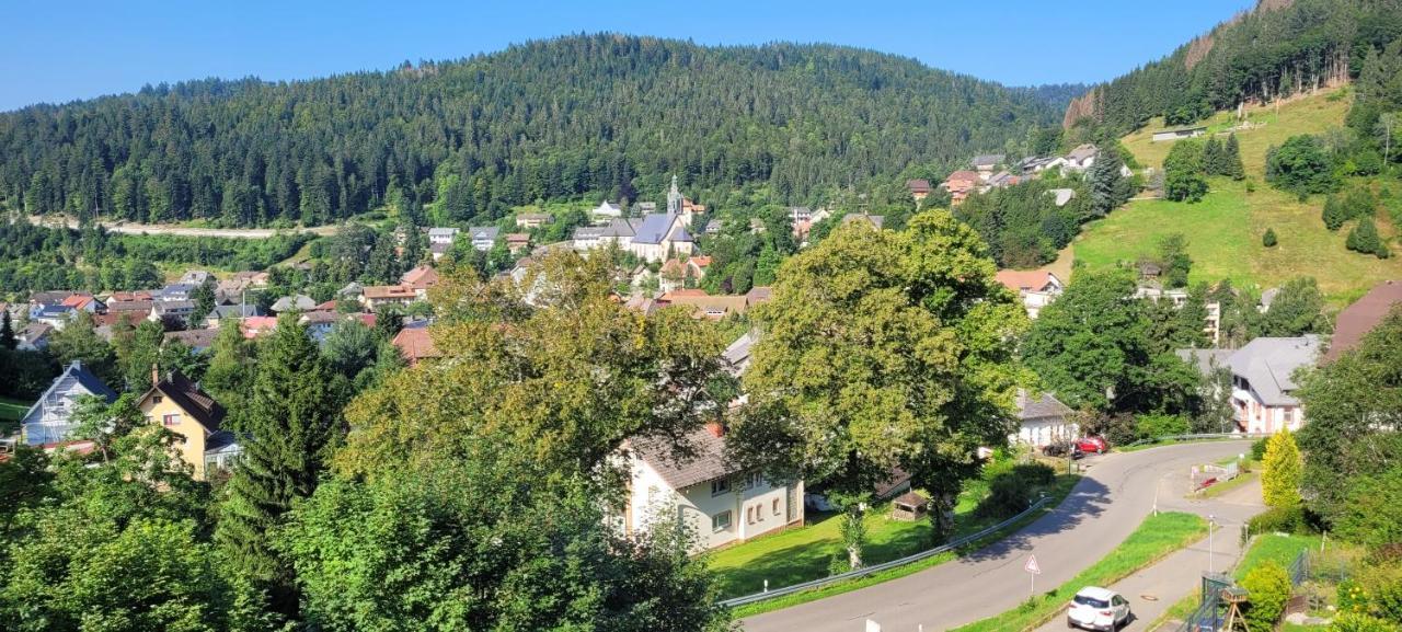 Appartamento Zum Schwalbennest Todtmoos Esterno foto