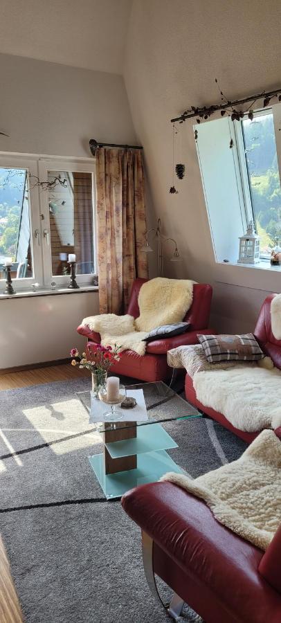 Appartamento Zum Schwalbennest Todtmoos Esterno foto