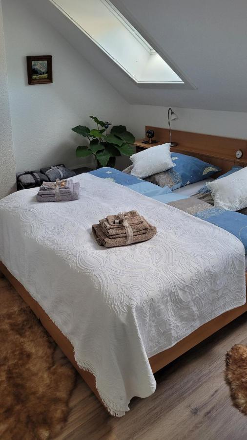 Appartamento Zum Schwalbennest Todtmoos Esterno foto