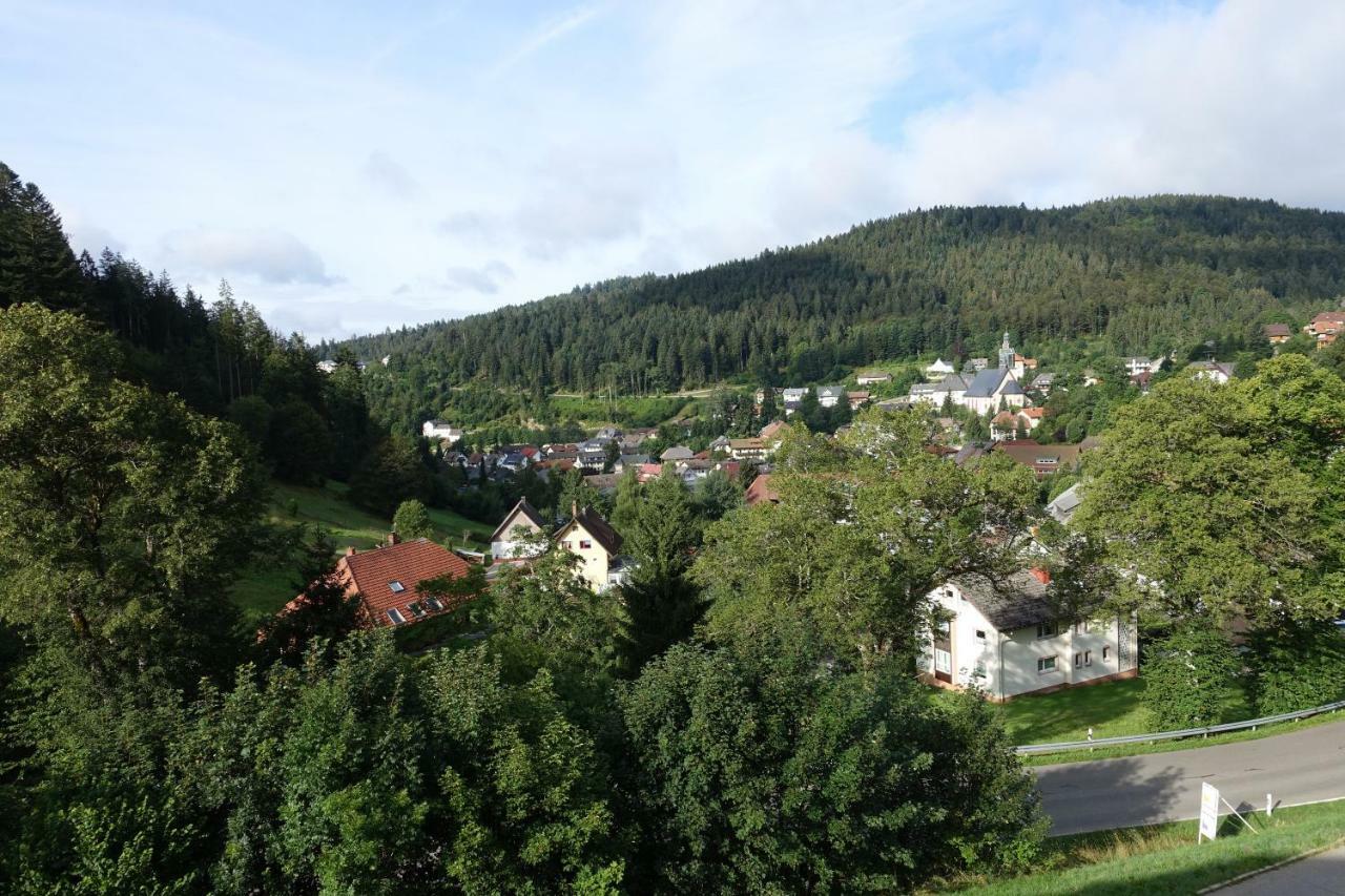 Appartamento Zum Schwalbennest Todtmoos Esterno foto