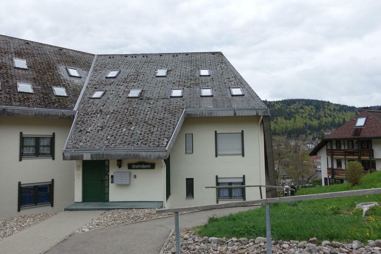 Appartamento Zum Schwalbennest Todtmoos Esterno foto