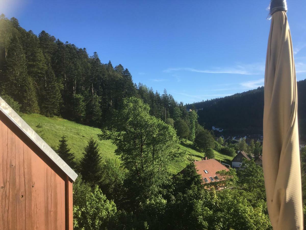 Appartamento Zum Schwalbennest Todtmoos Esterno foto