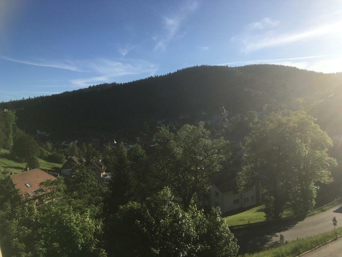 Appartamento Zum Schwalbennest Todtmoos Esterno foto